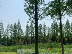 -前小桔亲子创意农场·草莓采摘·露营烧烤