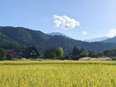 -白川乡与五箇山的合掌构造村落