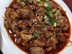 -巷子肥肠(科华巷店)
