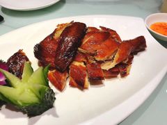 -南枝记