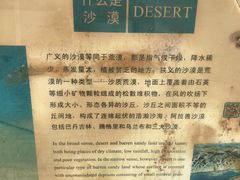 -沙漠世界地质公园