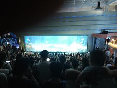 -海合安成都极地海洋公园