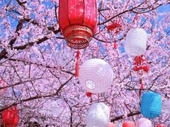 -三里河公园