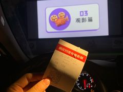 -枫花园汽车电影院(朝阳公园店)