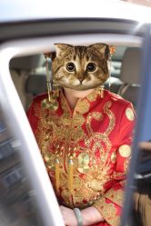 点击看大图 -拉瑞娜LaReine婚纱礼服高级定制
