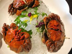 -蟹榭·本帮江浙菜·蟹宴(五角场合生汇商场店)