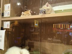 -天河领展广场