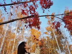 -长春市南湖公园