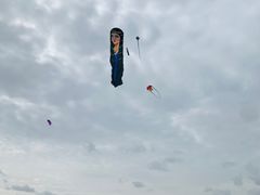 -春花秋色城市公园