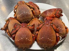 -半岛听涛蒸汽海鲜自助(K11店)