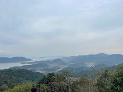 -黄贤森林公园