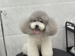 -萌小它宠物健康管理中心(怡海家园店)