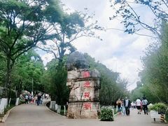 -昆明动物园