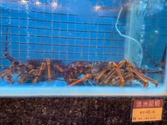 -金悦轩海鲜城(渔人码头店)