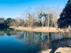 -梁鸿国家湿地公园