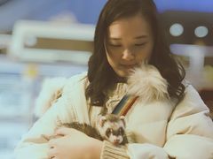 -藦茜花园宠物主题亲子互动体验馆(国顺东路店)