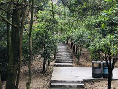 -广州市帽峰山景区