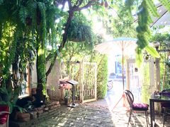 -Fern Forest Cafe