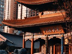 -西安大兴善寺