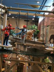 -卡通尼·Safari非洲探索乐园·生日会(金桥国际商业广场店)