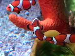 -沈阳海洋探索中心