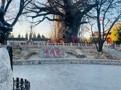 -大槐树寻根祭祖园