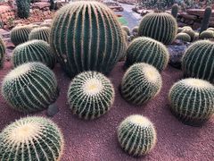 -南通洲际绿博园