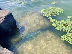 -东钱湖旅游度假区