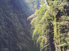 -阿依河景区