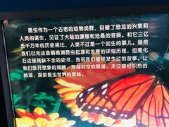 -上海昆虫博物馆