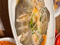 -山海菜馆·海肠捞饭·青岛菜(栈桥店)