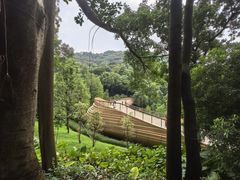 -云溪植物园