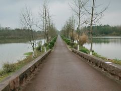 -白鹭湾湿地公园