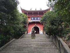 -铁山坪森林公园