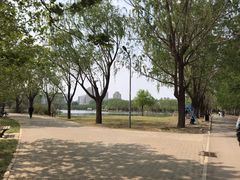 -朝阳公园游乐园