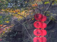-杭州西湖风景名胜区-三生石