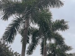 -广州市白云山风景名胜区