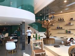 -飞行喵MR PILOT|猫舍·猫咖(静安大融城店)