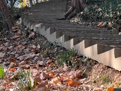 -上海佘山国家森林公园天马山园