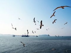 -仁川港国际客运码头