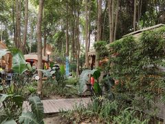 -二荆条·蜀鲜汇城市森林火锅