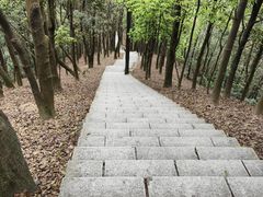 -阳台山森林公园
