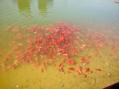 -西海子公园