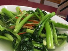 -新合益乡村农庄