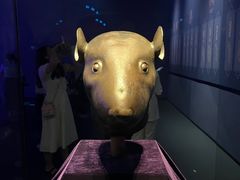 -广西壮族自治区博物馆