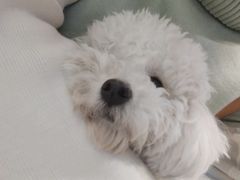 -默迹咖啡馆