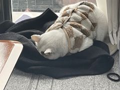 -青沐画室·专业美术培训