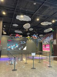 -飞览天下沉浸式飞行体验(北京旗舰店)
