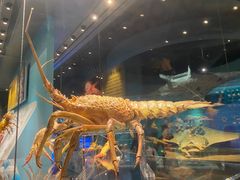 -天津自然博物馆