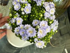 -FEI FEI FLOWER鲜花店·气球派对·宝宝宴布置(虹口德必运动Loft店)